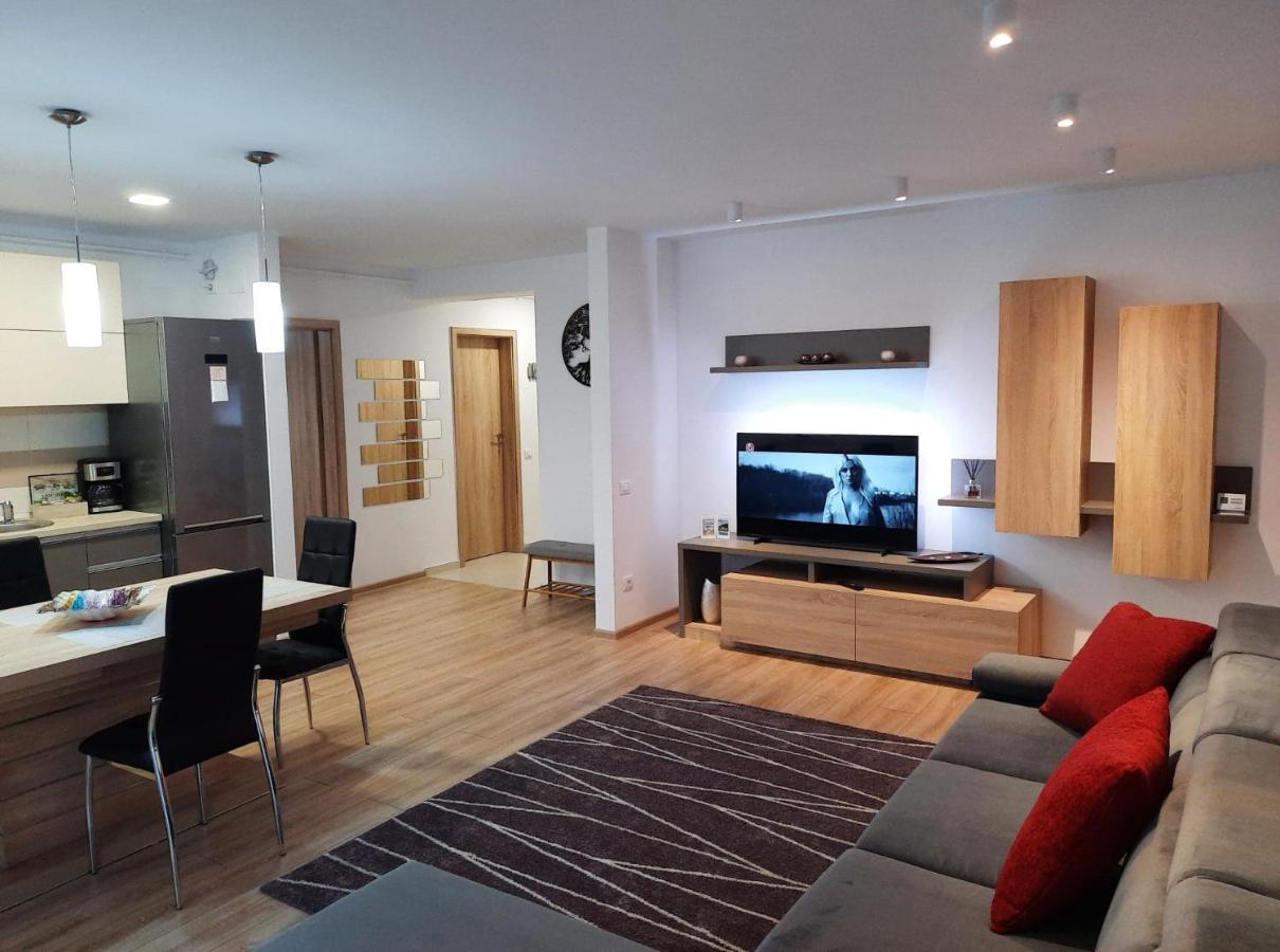 Sorin'S Comfortable Apartment Braszów Zewnętrze zdjęcie