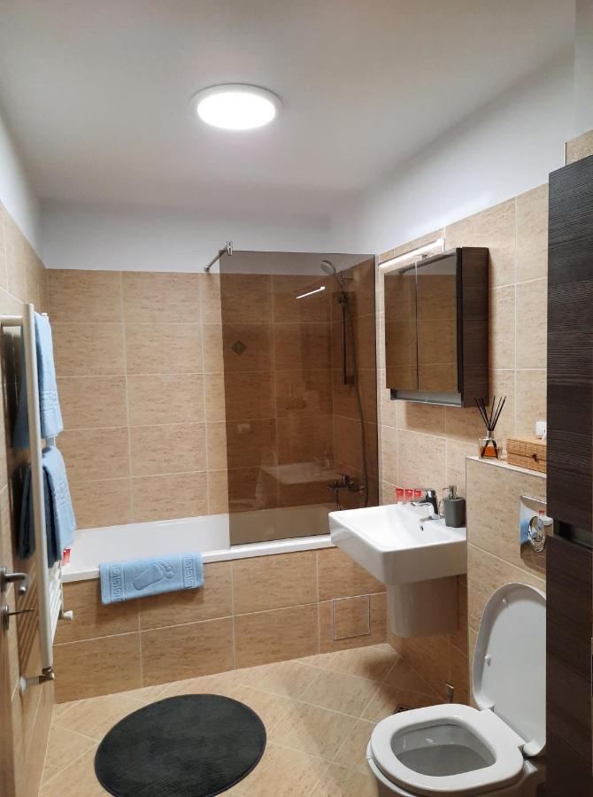 Sorin'S Comfortable Apartment Braszów Zewnętrze zdjęcie