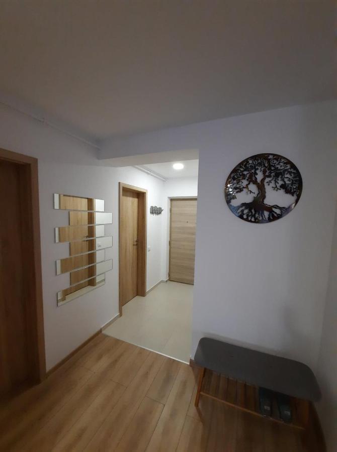 Sorin'S Comfortable Apartment Braszów Zewnętrze zdjęcie